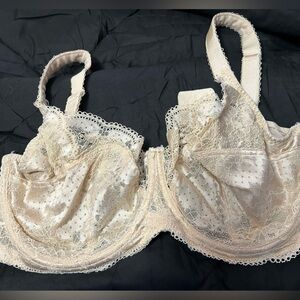 Panache 36 GG lovely cream colored lace bra